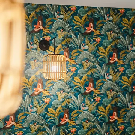 Affaire, Petit Dejeuner Offert En Hypercentre מלון דירות קאין